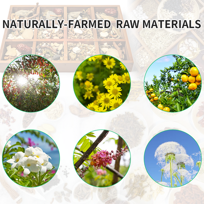 Liver Tea Recipe Chrysanthemum Fixed Liver Beef Root Honeysuckle Tea Combo Stay Up Late Health Tea Bag Clear Fire Liver Tea