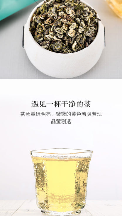 Green Tea-2024 New Tea Biluochun mingqian 明前春茶碧螺春（有機）