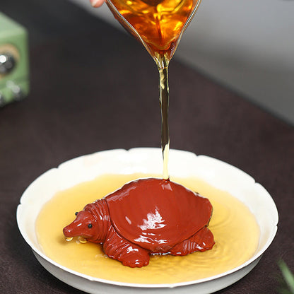 Weichschildkröte Teehaustier